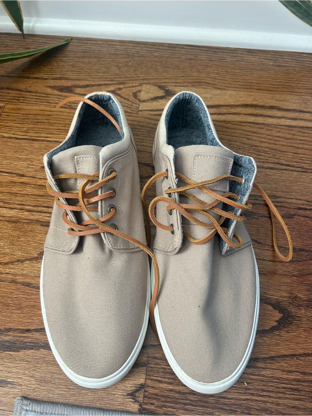 Express Men's Canvas Sneakers/Loafers in Taupe with Tan Laces, size 9, nwt - Picture 2 of 4